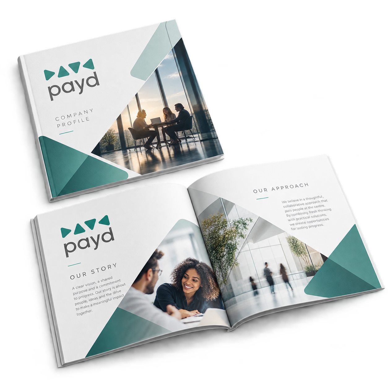 Payd: Company profile cover with Our Story and Our Approach spreads.